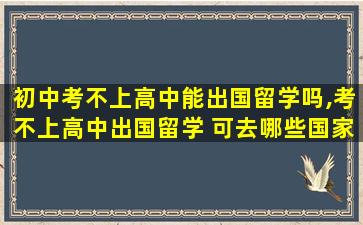 初中考不上高中能出国留学吗,考不上高中出国留学 可去哪些国家